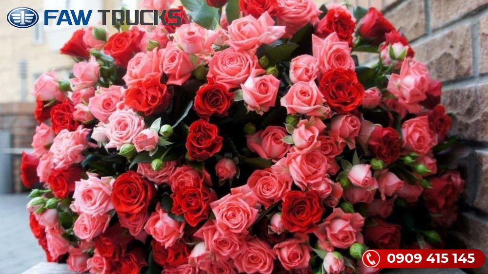 Ngày 20/11: Hoa hồng